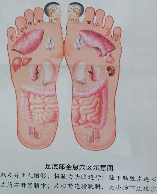 從雙腿看到全身病