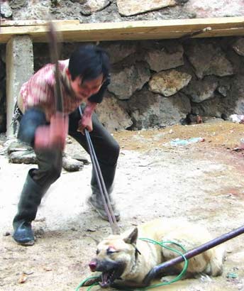 餐盤裡盛滿無盡血淚(圖)