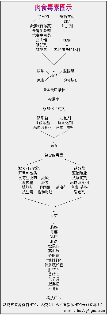 肉類毒素直觀圖示