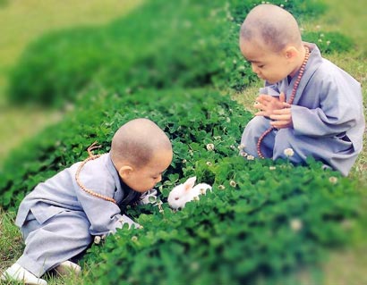 尊重生命的佛教素食觀