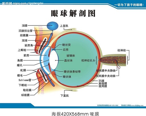 眼睛能暴露出十種病