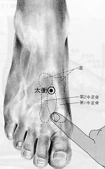 中醫教你最佳人體的排毒方式