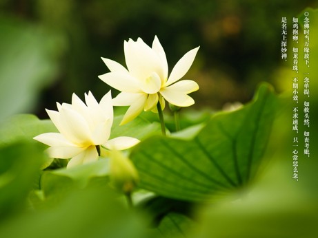 順生死流的十種心