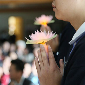 不是擁有的太少，而是追求的太多