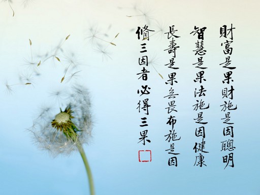 用施無望報的心去佈施