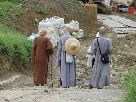 檢討「習慣」和「願」是否相應