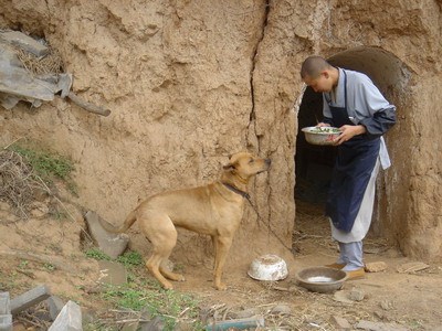 人類比動物強在哪兒
