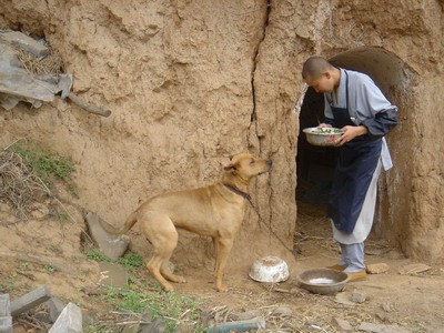 人類比動物強在哪兒