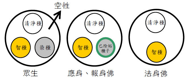 如來藏與阿賴耶