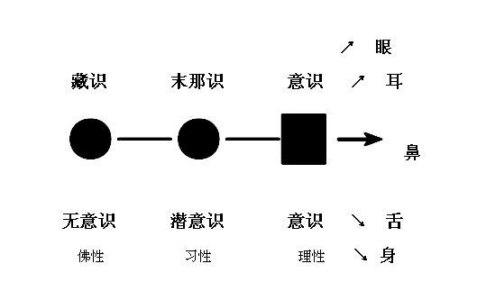 如來藏與阿賴耶