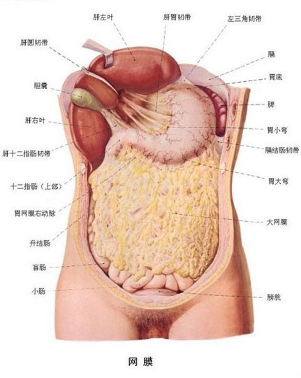 思惟略要法--不淨觀