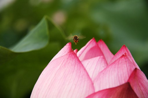 花錢還需要有智慧