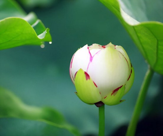 煩惱和生氣有意義嗎