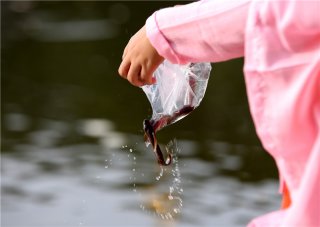 為什麼藏族人不吃魚