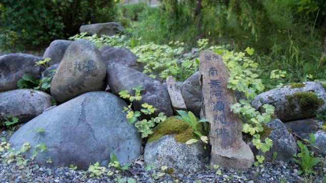 心定如須彌山，任何境界都不動心