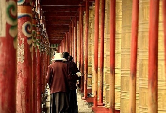 驢子和歷史巨輪