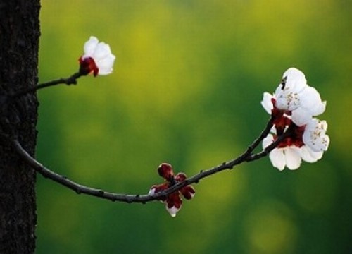 學以致用，慚愧懺悔