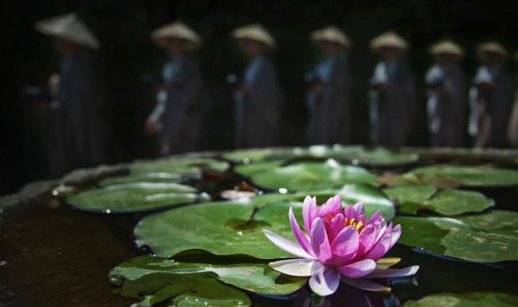 百歲老中醫的養生觀