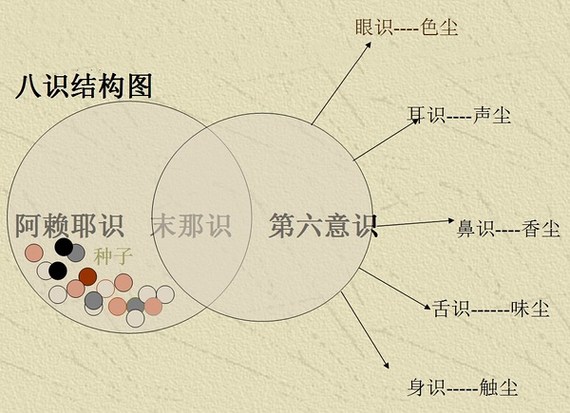 唯識學中的「八識心王」