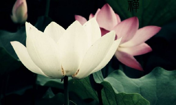 貧窮而能行佈施，上天降給他的福報就非常大