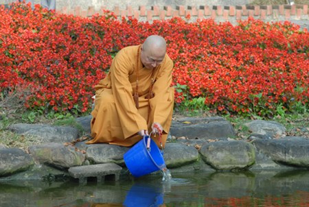 鯉魚救子的感人故事