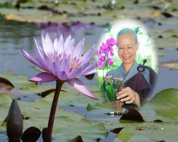 道證法師預知時至，回歸彌陀願海