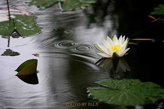 調和五事助參禪