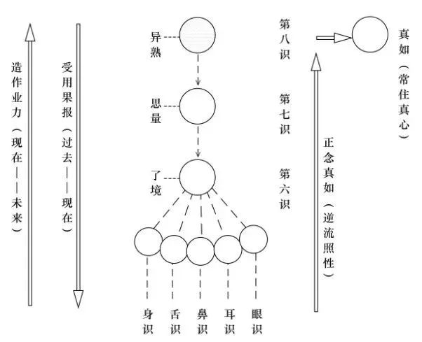 身處生死輪迴，我們該怎麼辦