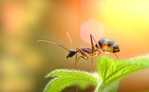 怎樣面對「無常」所帶來的種種痛苦