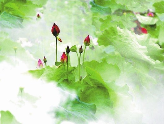 蓮池大師《七筆勾》淺析