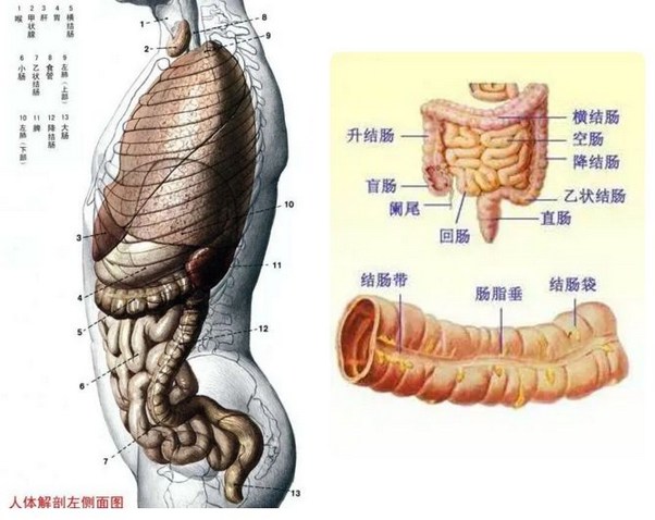 拖尸人的慚愧與懺悔