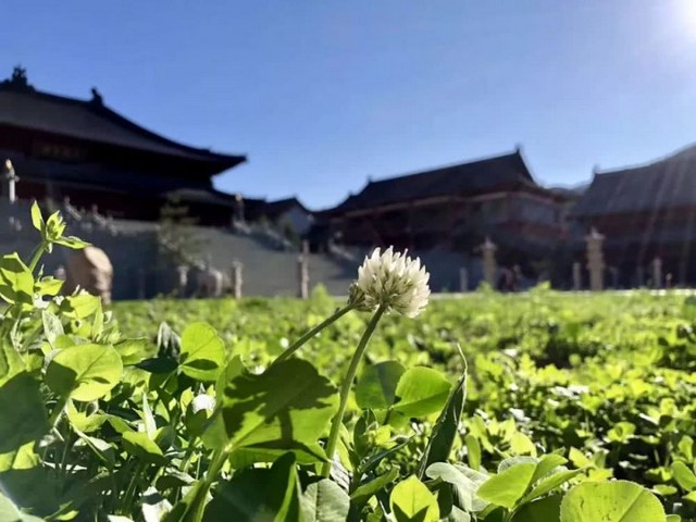 愛女的離世，讓我扔掉「鐵飯碗」，捧起「金飯碗」