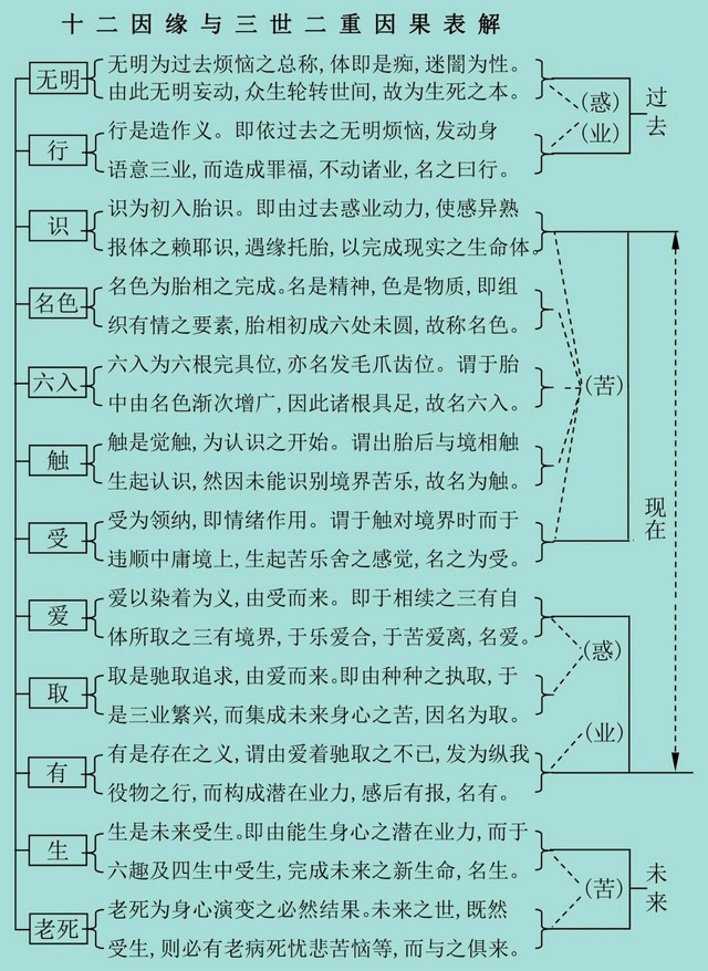 今生的生命是怎麼形成的