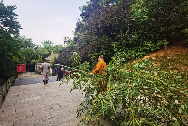 什麼樣的修行人才能住山