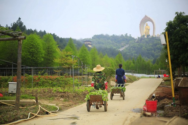 行住坐臥中如何積累淨土資糧