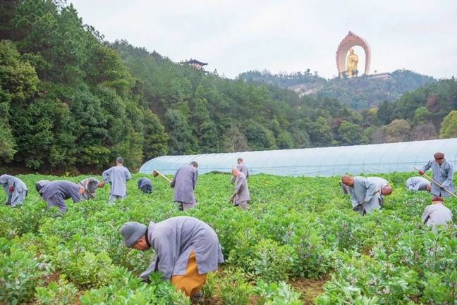 念佛為什麼要發菩提心