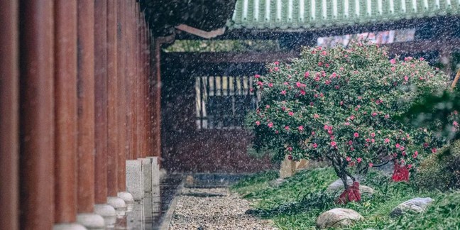 但看妄想起處，切莫隨他流轉