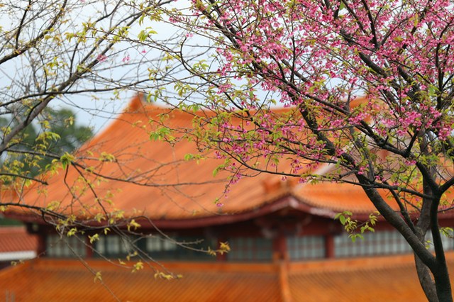 平常養成這個習慣，夢中遇到惡事也能不犯戒