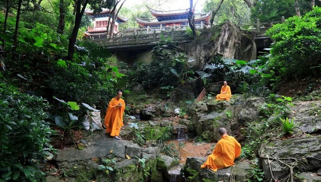 雲居善悟禪師《勸安老病僧文》