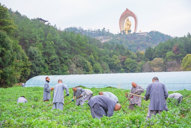 在家庭工作中修行