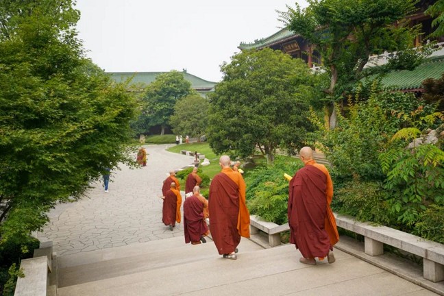 你沒有這麼一點鐵心腸，在這個世間還能出得去嗎