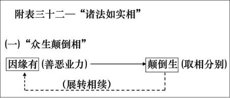 淨界法師：妙法蓮華經