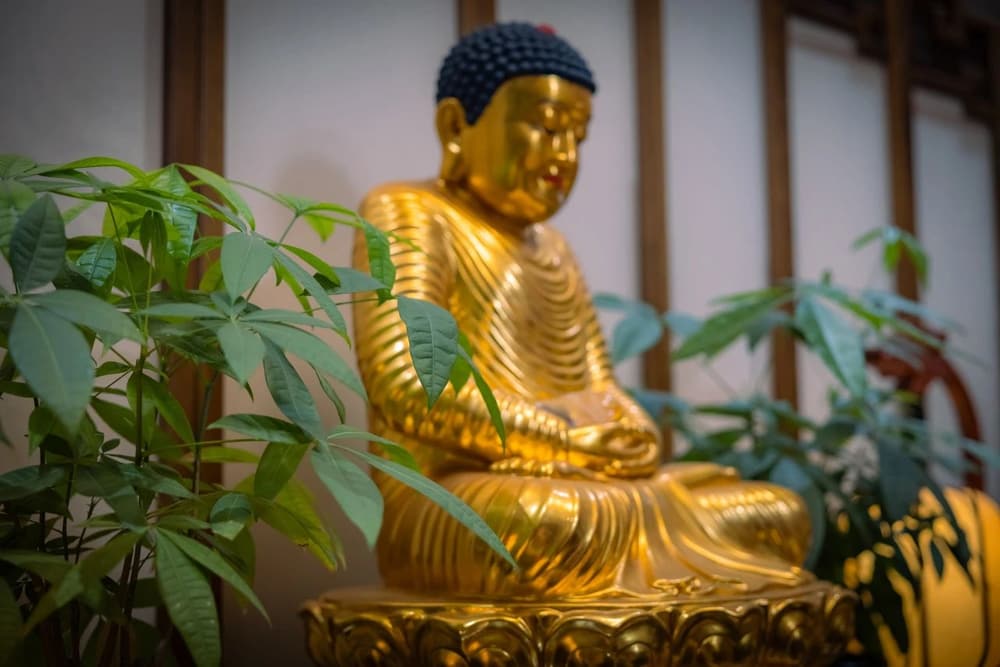 我曾親近過幾位長老，發現了他們好人緣的秘密