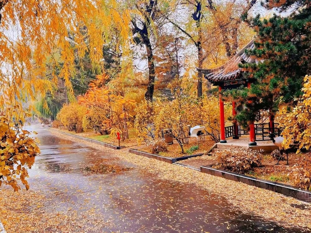 「四劫」指的是什麼