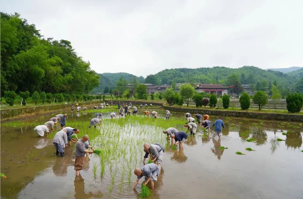 如何修行才能培養福德因緣