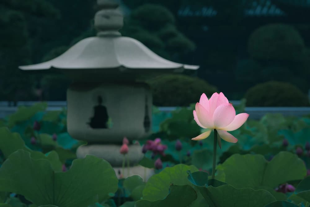 如何鑒定那人是「得道的佛或菩薩」