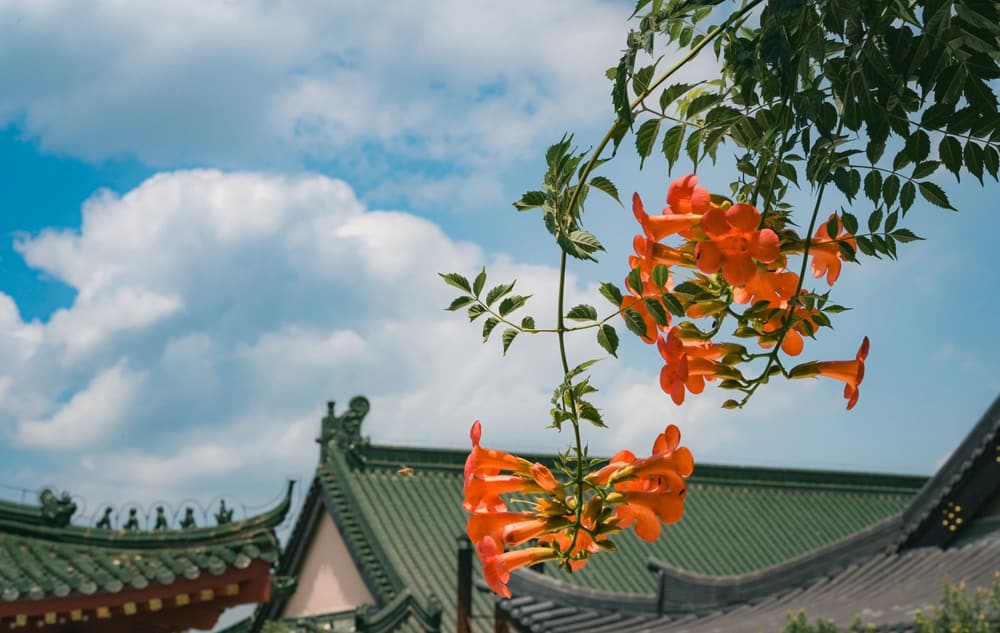 執持這句名號時，就在「無住」
