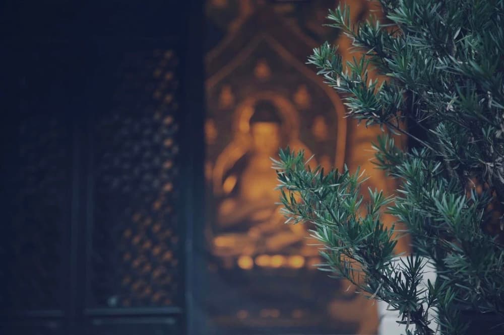 多欲為苦，生死疲勞，從貪慾起