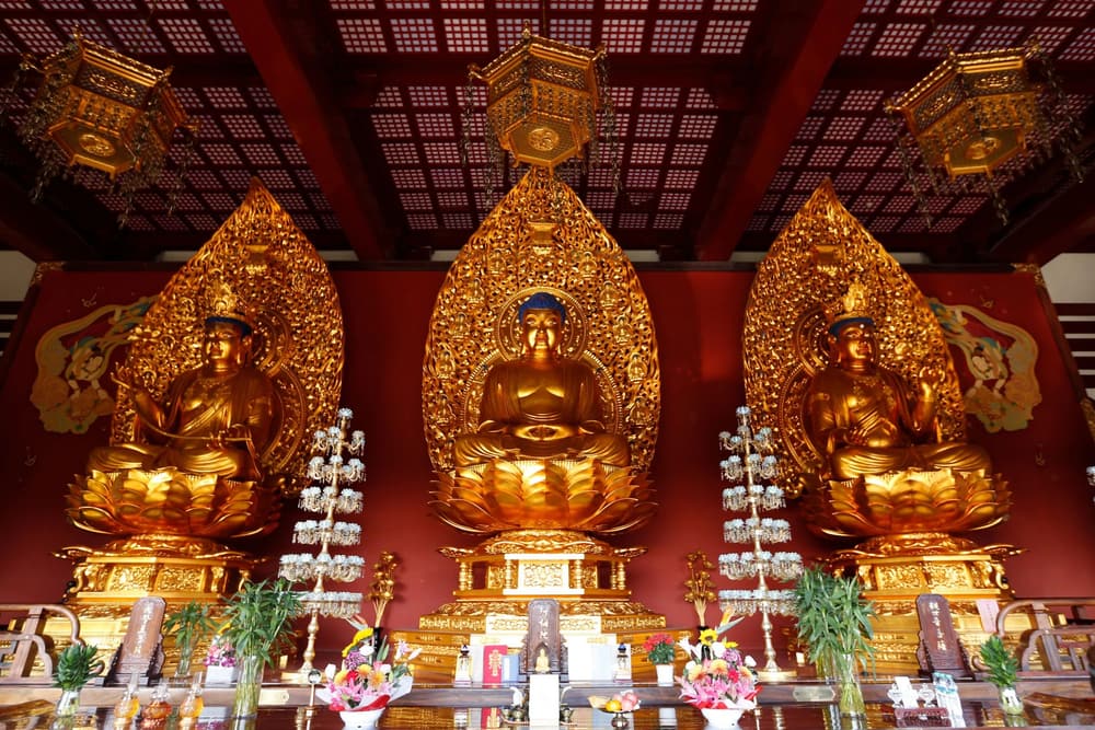 嗔心——一切惡行所依為業