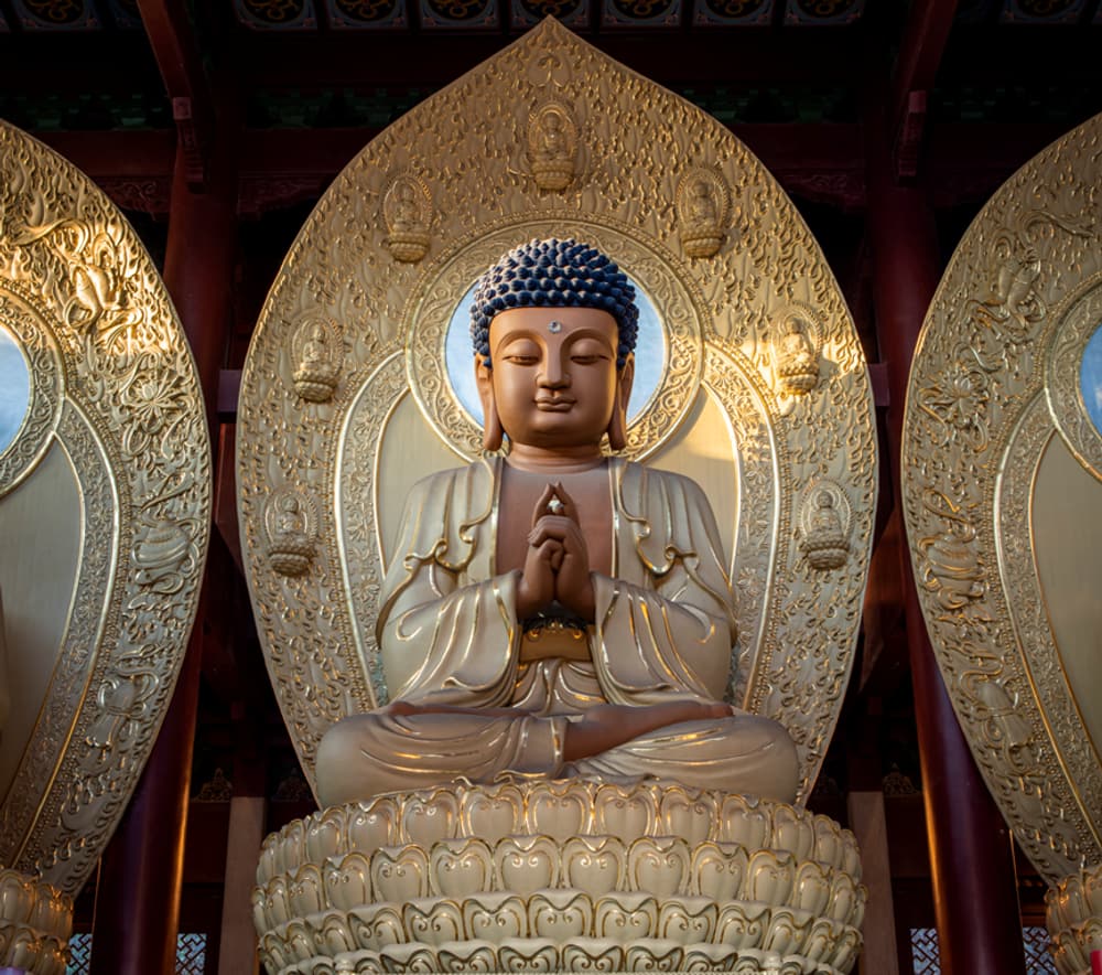 菩薩有四法，能得大智慧